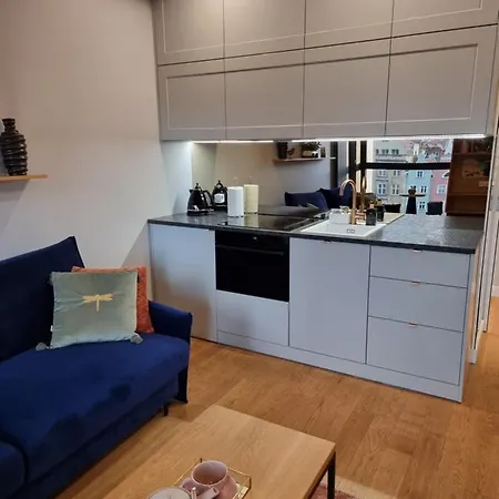 Birdnest Riverview Studio & Parking * Gdansk