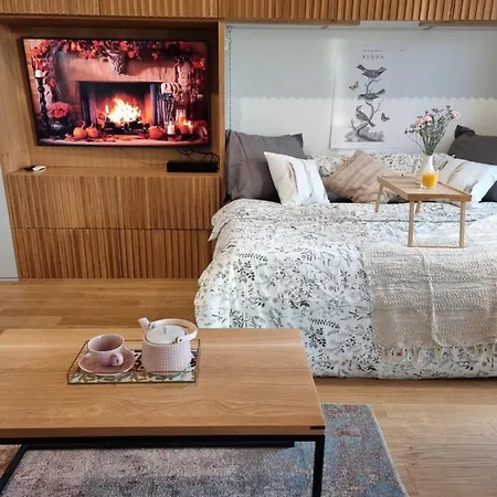 Birdnest Riverview Studio & Parking * Gdansk